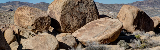 Joshua Tree National Park