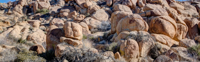 Joshua Tree National Park