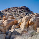 Joshua Tree National Park