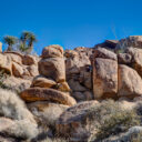 Joshua Tree National Park