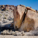 Joshua Tree National Park