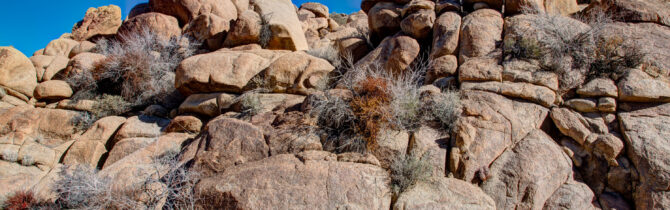 Joshua Tree National Park