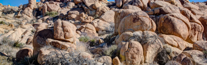 Joshua Tree National Park