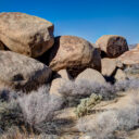 Joshua Tree National Park