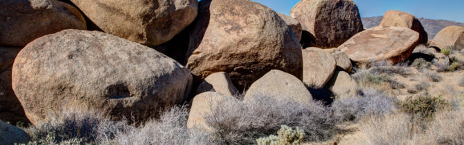 Joshua Tree National Park