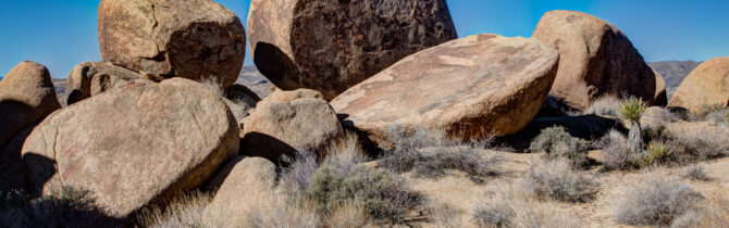 Joshua Tree National Park