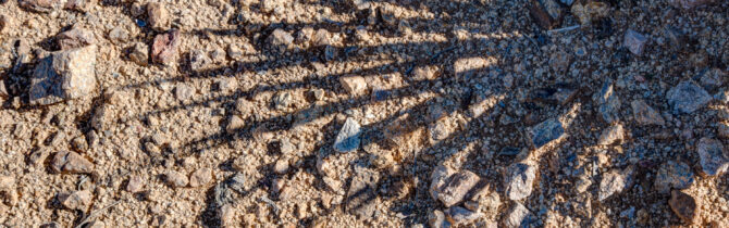 Joshua Tree National Park