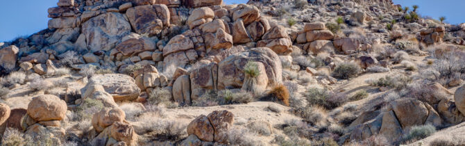 Joshua Tree National Park