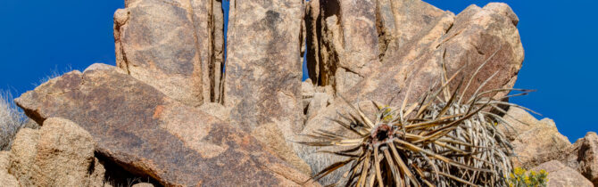 Joshua Tree National Park