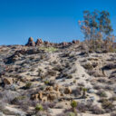 Joshua Tree National Park