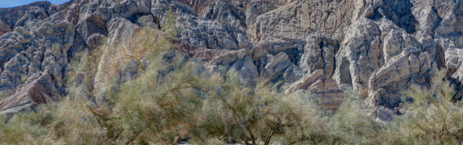 Joshua Tree National Park