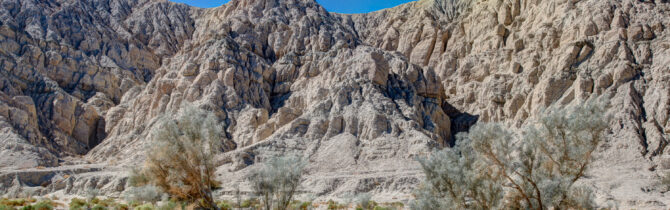 Joshua Tree National Park