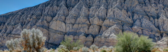 Joshua Tree National Park