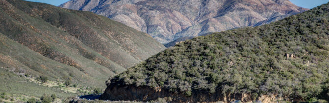 Joshua Tree National Park