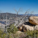 Cuyamaca Rancho SP