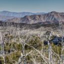 Cuyamaca Rancho SP