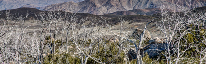 Cuyamaca Rancho SP