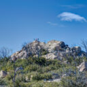 Cuyamaca Rancho SP