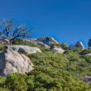 Cuyamaca Rancho SP