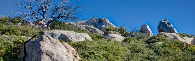 Cuyamaca Rancho SP