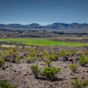 Big Bend Ranch State Park