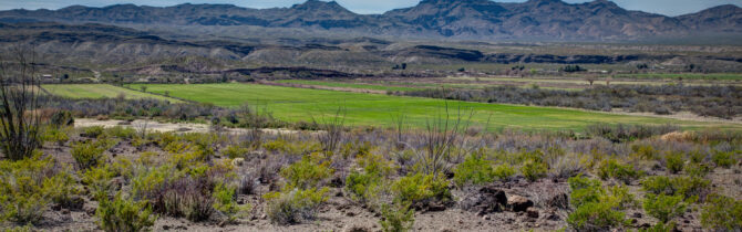 Big Bend Ranch State Park
