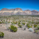 Big Bend Ranch State Park