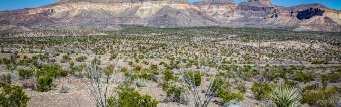 Big Bend Ranch State Park