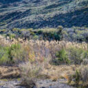 Big Bend Ranch State Park