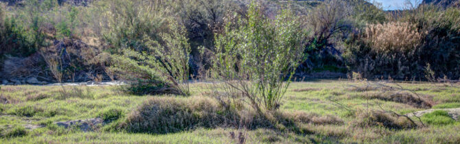 Big Bend Ranch State Park