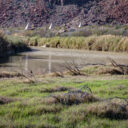 Big Bend Ranch State Park