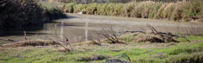 Big Bend Ranch State Park