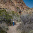 Window Trail