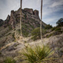 Lost Mine Trail