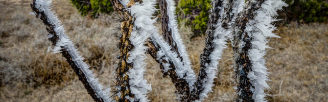 Hoar Frost