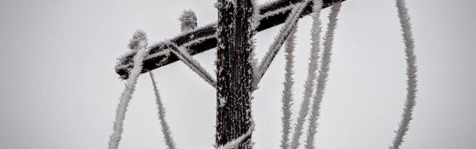 Hoar Frost