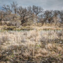 South Llano River SP