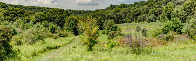 Governor Dodge State Park WI