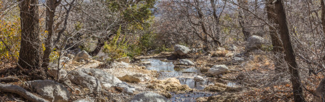 Smith Spring Trail