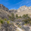 Smith Spring Trail
