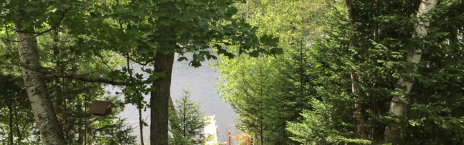 Steven and Sarah’s new cabin
