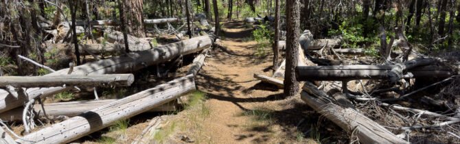 Fall River Trail