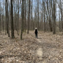 Hickory Ridge Horse Camp