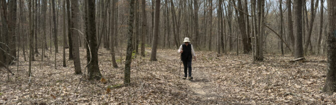 Hickory Ridge Horse Camp