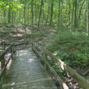 Miami Whitewater Forest