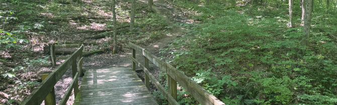Miami Whitewater Forest