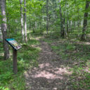 Brule River State Forest – Day 1