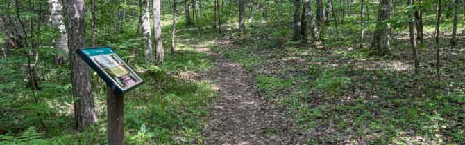 Brule River State Forest – Day 1