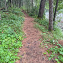 Brule River State Forest – Day 2