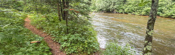 Brule River State Forest – Day 2